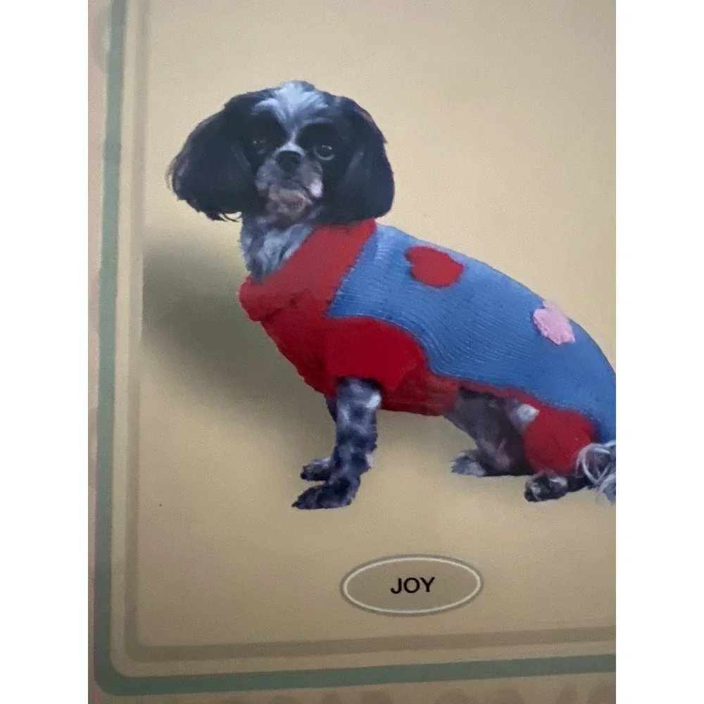 Dog Sweater, Companion Road Hand Knit Heart, Blue Red Small Pet Fashion‎